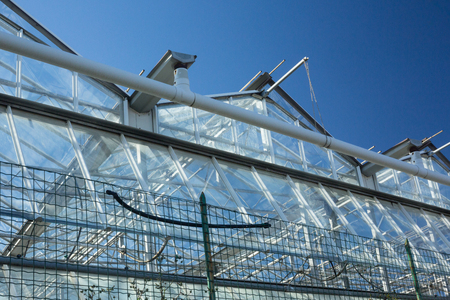 bottom view of a greenhouse, blue sky in the backgroundの写真素材