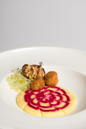 Potato puree with beet sauce, quail breast with honey and hazelnut, quail legs and wheat sprouts. Space for textの写真素材