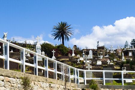 Waverley Cemetery, Bondi to Coogee coastal walk, Sydney Australia