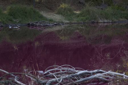 Pink lake in Melbourne, Australia. natural phenomenon.