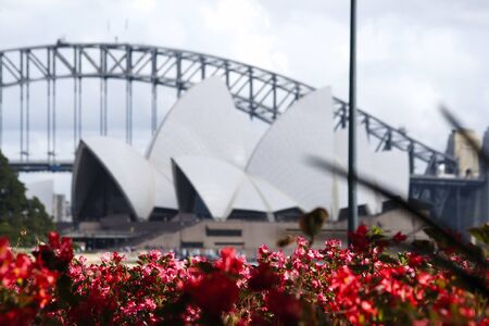 Sydney Opera House and Harbour Bridge view from botanical gardenのeditorial素材