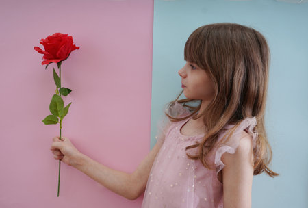 Little girl with a red rose on a pink and blue background.の写真素材