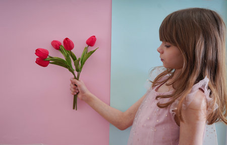 Little girl with a bouquet of red tulips on a pink and blue backgroundの写真素材