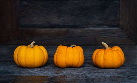 three small natural orange pumpkins on the dark wooden backgroundの写真素材