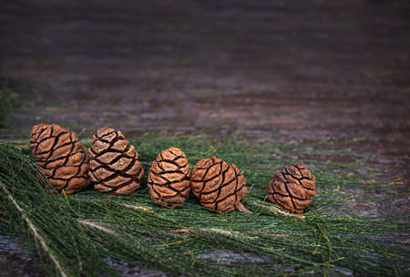 group of cones on coniferous branches on a wooden background. concept