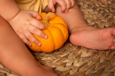 little pumpkin in the hands of a baby. child holding a pumpkin on a straw chairの写真素材