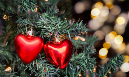 the two red hearts on the christmas treeの写真素材