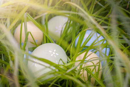 Easter eggs in the grass. Painted eggs in the grass for egg hunting