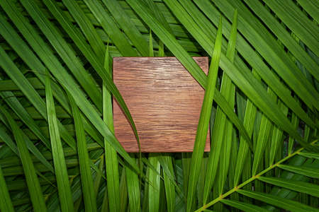 Wooden copy space with palms leaves surface. Natural backgroundの写真素材