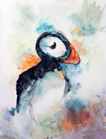 Drawing of puffin in watercolor on an abstract backgroundの写真素材