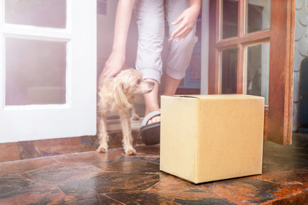 A girl with a dog went out on the porch to pick up the parcelの写真素材