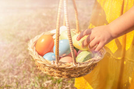 A child takes out an Easter egg from a basket in a meadowの写真素材