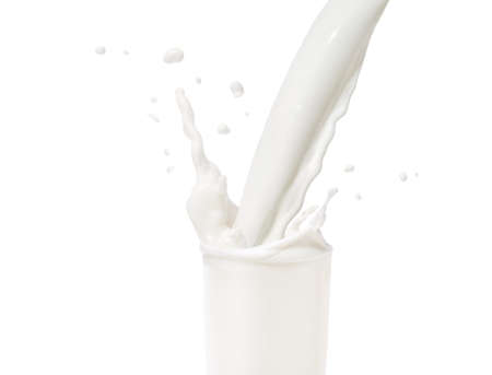 Milk jet fill glass with splash close up isolated on white backgroundの写真素材