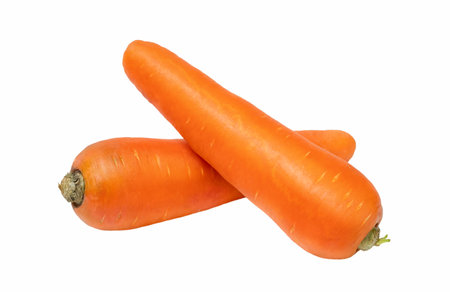 Two fresh orange carrots isolated on white backgroundの写真素材