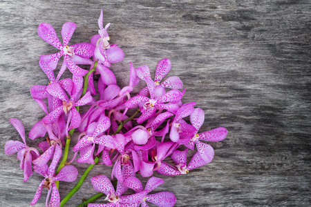Purple orchid on the gray wooden surfaceの写真素材