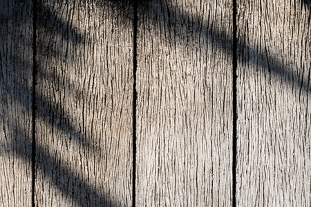 The shadow of a palm tree on a wooden surface