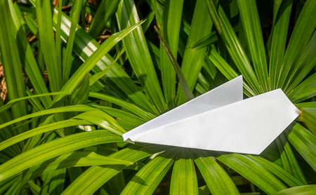 paper plane on palm leaves. Journey