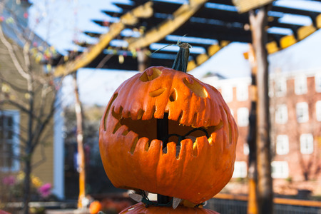 Picture of Halloween pumkin.の写真素材