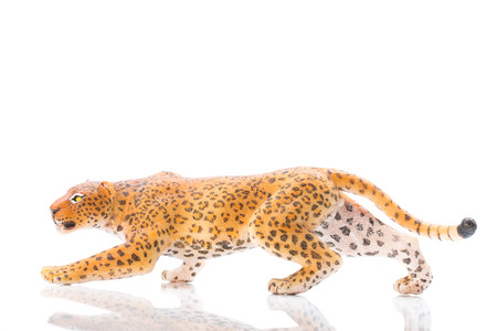 Photo shows the toy leopard on white.の写真素材