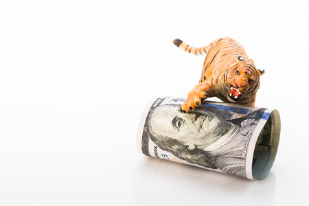 Photo shows the toy tiger and dollars. Concept.