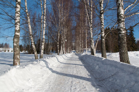 in the photo you see a magical Russian winter.の写真素材
