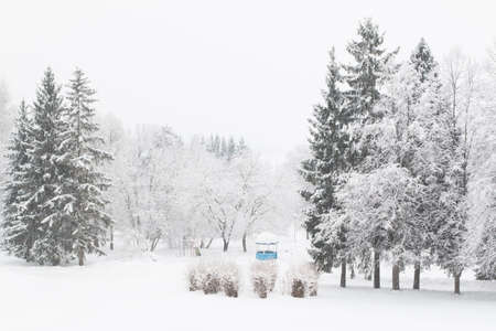 In the photo you see a magical Russian winter.の写真素材