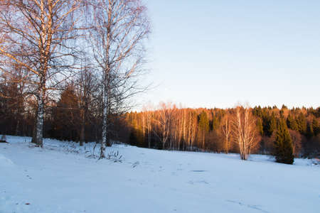 In the photo you can see Russian winter landscapes in the middle zone.の写真素材