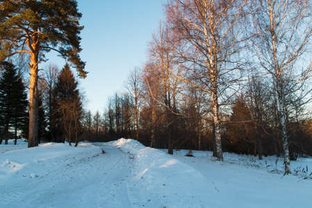 In the photo you can see Russian winter landscapes in the middle zone.の写真素材