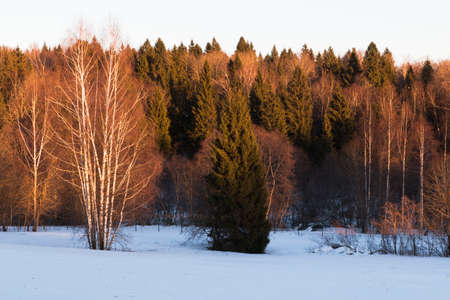In the photo you can see Russian winter landscapes in the middle zone.の写真素材