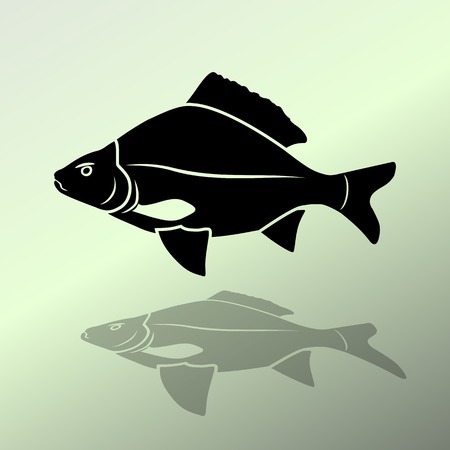 Fish icon. Food symbol. Cyprinidae family. Fresh-water, fish color signs with label on white background. Vector isolated.のイラスト素材