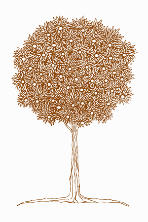 Tangerine tree with fruits and leaves. Vintage. Brown & white sketch. Line art. White backgroundのイラスト素材