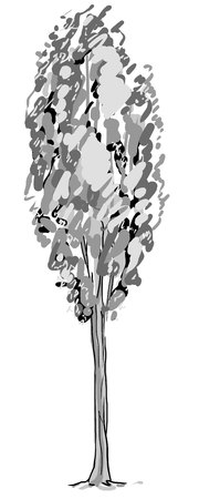 Deciduous tree sketch. Black contour isolated on white background. Simple art. Can be used for card banner template. Raster copy illustration.の写真素材