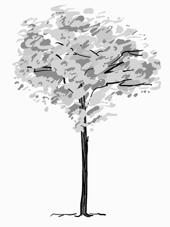 Single tree sketch. Black and white drawing isolated on white background. Simple art. Can be used for card banner template. Vector illustrationのイラスト素材