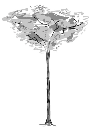 Single tree sketch. Black and white drawing isolated on white background. Simple art. Can be used for card banner template. Raster copy illustration.の写真素材
