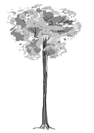 Tree sketch. Black and white drawing isolated on white background. Simple art. Can be used for card banner template. Vector illustration.のイラスト素材