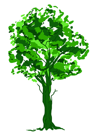 Deciduous tree sketch. Green contour isolated on white background. Simple art. Can be used for card banner template. Vector illustration.の写真素材