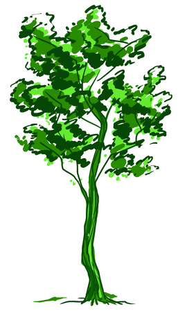 Deciduous tree sketch. Green contour isolated on white background. Simple art. Can be used for card banner template. Vector illustrationのイラスト素材