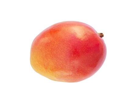 Mango fruit isolated - fruit of Senegal  region of Casamance の写真素材