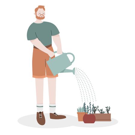red-haired bearded man in khaki shorts watering potted plants from a watering can. Gardening, green areas, plants, plant care. Vector flat illustration. Isolated, white background.のイラスト素材