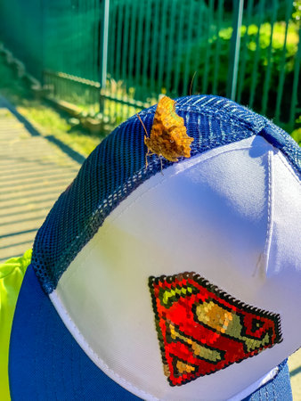 Prague, Czech republic - July 31, 2020: A brown butterfly landed on a cap with the Superman emblemのeditorial素材