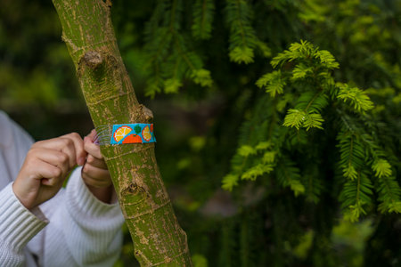 Girl carefully wrapping a handmade beaded bracelet around a tree branchの写真素材