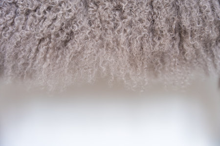 Soft texture of a Mongolian sheepskin fur coat in grey tonesの写真素材