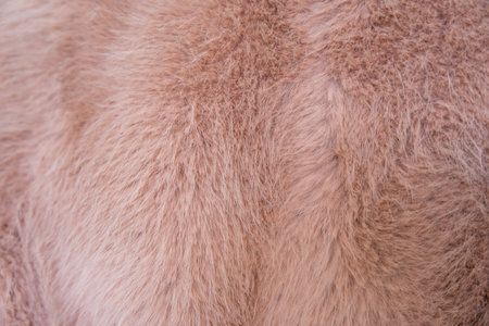 Soft texture of a faux fur coat in warm peach fuzz tones