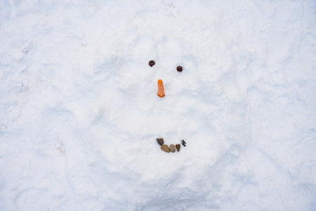 Funny snowman face with carrot nose and pebble smile in winter landscape