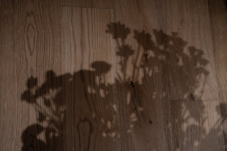 Delicate shadow of flowers cast on a natural wooden floor. Captured in low light with warm tonesの写真素材