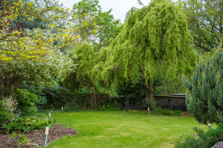 Serene garden with lush green trees and trimmed lawn