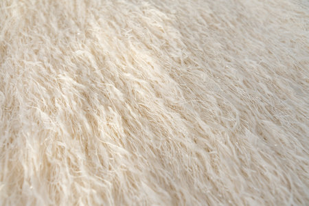 Close-up of feathered textile with shimmering metallic threads in beige tones with sunlight.の写真素材