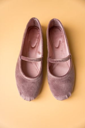 Velvet ballet flats in dusty pink on soft neutral backgroundの写真素材