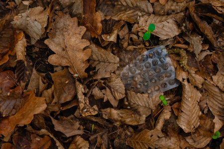 Empty blister pack littered among dry forest leaves - environmental pollution concept in woodlandの写真素材