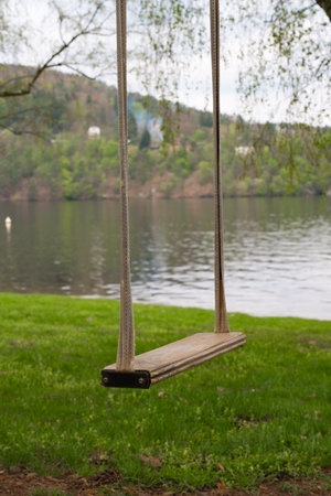 Wooden swing hanging near lake shore with forested hills in Nova Zivohost, Czech Republic